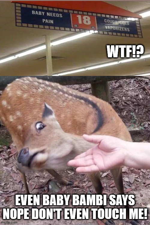 nope | WTF!? EVEN BABY BAMBI SAYS NOPE DON'T EVEN TOUCH ME! | image tagged in nope | made w/ Imgflip meme maker