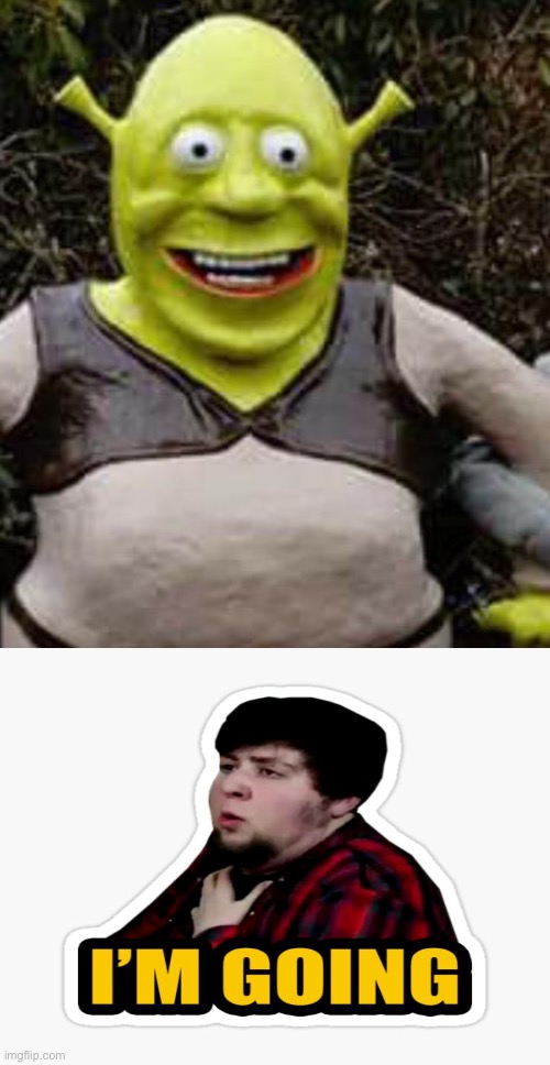 Cursed Shrek | image tagged in cursed image,shrek,jontron,memeboi987 made this | made w/ Imgflip meme maker