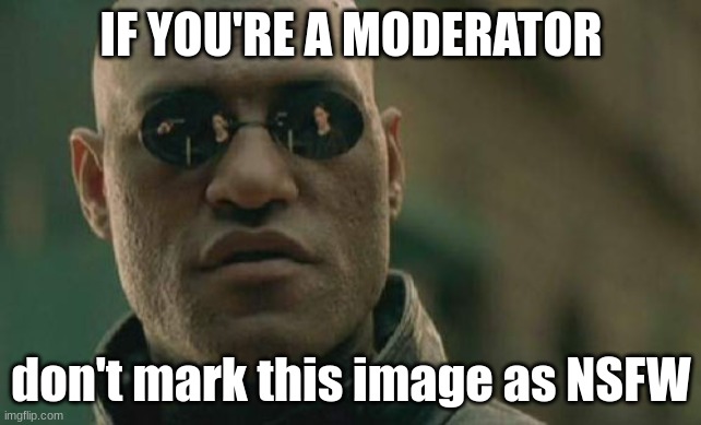 DON'T DO IT! (mod note: Don't tell us what to do) | IF YOU'RE A MODERATOR; don't mark this image as NSFW | image tagged in memes,matrix morpheus | made w/ Imgflip meme maker