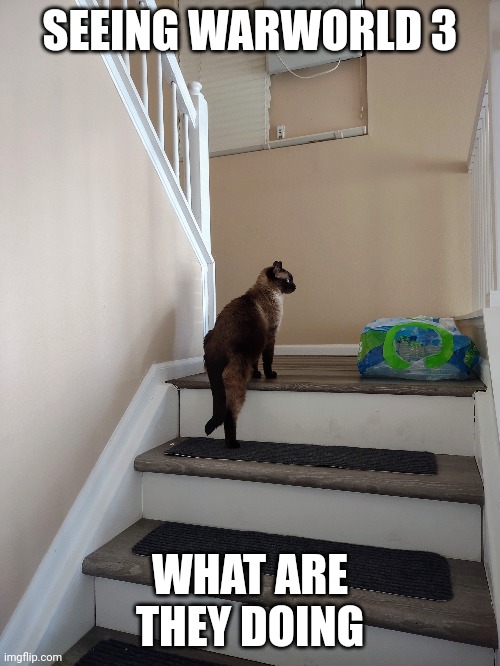 What's going on | SEEING WARWORLD 3; WHAT ARE THEY DOING | image tagged in memes,cat | made w/ Imgflip meme maker