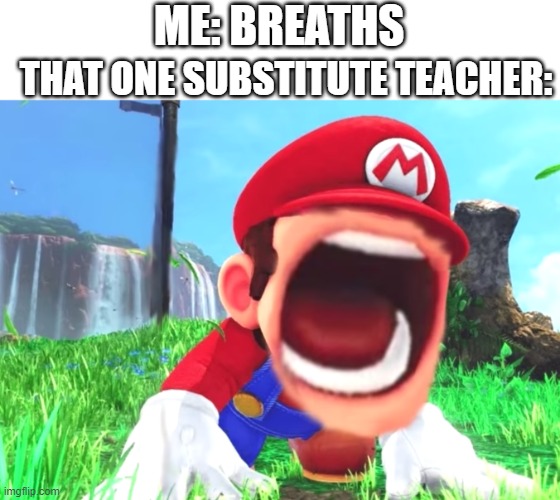 i hate subs that do this | THAT ONE SUBSTITUTE TEACHER:; ME: BREATHS | image tagged in mario screaming | made w/ Imgflip meme maker