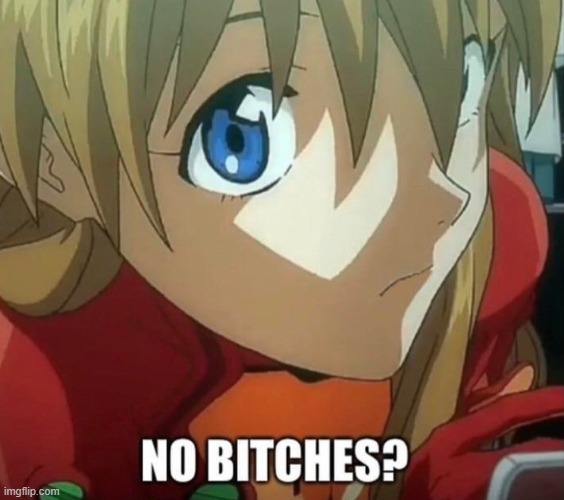 asuka no bitches | image tagged in asuka no bitches | made w/ Imgflip meme maker