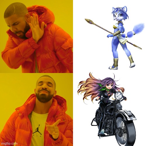 bro there are better video game waifus you dunce furries | image tagged in memes,drake hotline bling | made w/ Imgflip meme maker