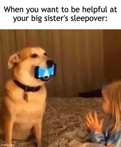 relatable? | When you want to be helpful at
your big sister's sleepover: | image tagged in relatable,help | made w/ Imgflip meme maker