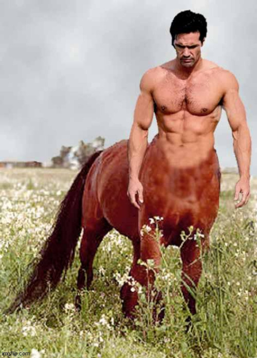 Centaur | image tagged in centaur | made w/ Imgflip meme maker