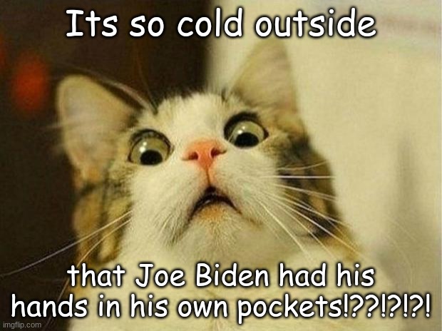 what??/ | Its so cold outside; that Joe Biden had his hands in his own pockets!??!?!?! | image tagged in memes,scared cat | made w/ Imgflip meme maker