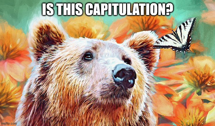 IS THIS CAPITULATION? | made w/ Imgflip meme maker