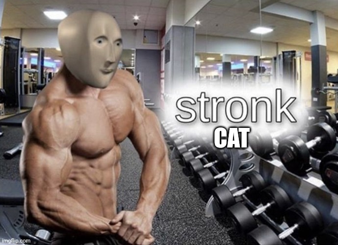 Meme man stronk | CAT | image tagged in meme man stronk | made w/ Imgflip meme maker