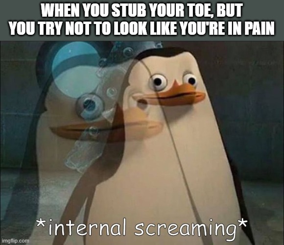 I have done this so many times | WHEN YOU STUB YOUR TOE, BUT YOU TRY NOT TO LOOK LIKE YOU'RE IN PAIN | image tagged in private internal screaming | made w/ Imgflip meme maker