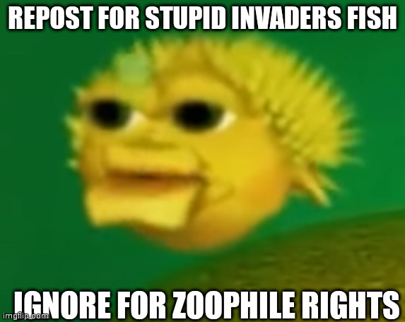 repost this | REPOST FOR STUPID INVADERS FISH; IGNORE FOR ZOOPHILE RIGHTS | image tagged in stupid invaders fish | made w/ Imgflip meme maker