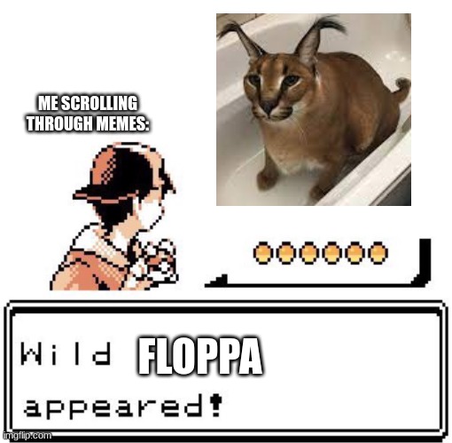 Pov: | ME SCROLLING THROUGH MEMES:; FLOPPA | image tagged in blank wild pokemon appears | made w/ Imgflip meme maker