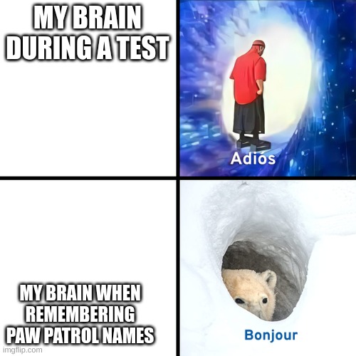 Adios Bonjour | MY BRAIN DURING A TEST; MY BRAIN WHEN REMEMBERING PAW PATROL NAMES | image tagged in adios bonjour | made w/ Imgflip meme maker