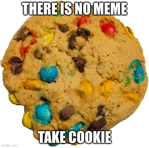  THERE IS NO MEME; TAKE COOKIE | image tagged in memes,cookies,there is no meme | made w/ Imgflip meme maker