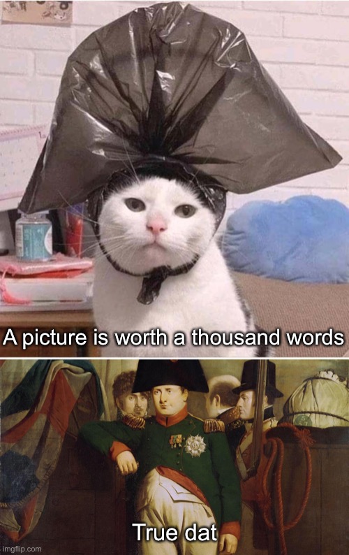 Napoleon Bonaparte | A picture is worth a thousand words; True dat | image tagged in funny memes,famous quotes | made w/ Imgflip meme maker