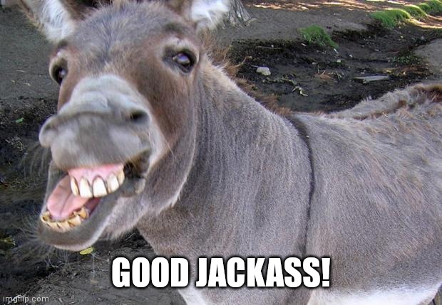 jackass | GOOD JACKASS! | image tagged in jackass | made w/ Imgflip meme maker