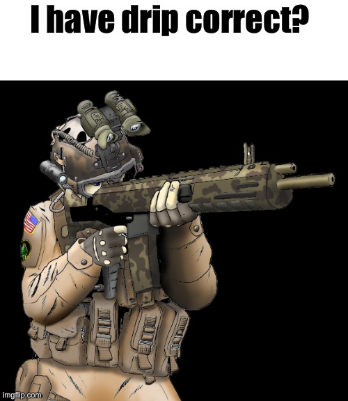 US TF141 | I have drip correct? | image tagged in us tf141 | made w/ Imgflip meme maker