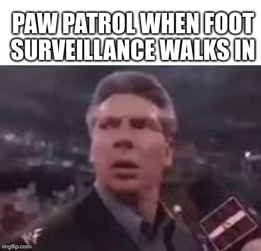 x when x walks in | PAW PATROL WHEN FOOT SURVEILLANCE WALKS IN | image tagged in x when x walks in | made w/ Imgflip meme maker