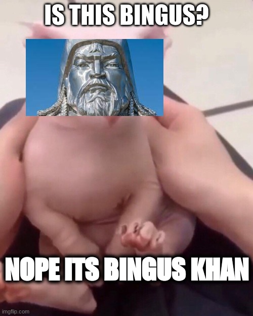Bingus Khan | IS THIS BINGUS? NOPE ITS BINGUS KHAN | image tagged in bingus,kangus khan | made w/ Imgflip meme maker