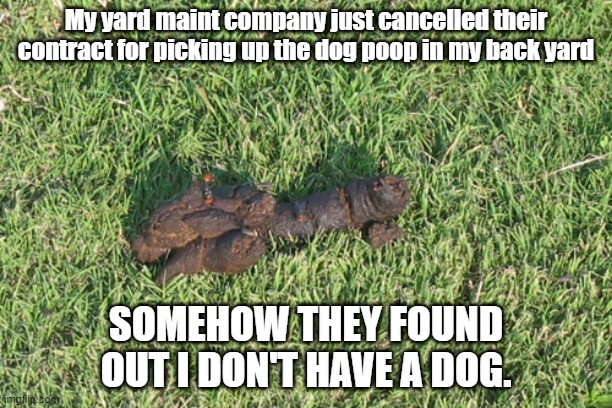 dog poop |  My yard maint company just cancelled their contract for picking up the dog poop in my back yard; SOMEHOW THEY FOUND OUT I DON'T HAVE A DOG. | image tagged in dog poop | made w/ Imgflip meme maker