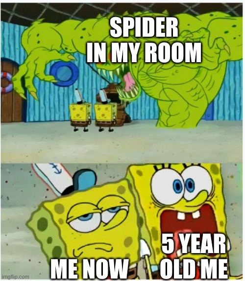 SpongeBob SquarePants scared but also not scared | SPIDER IN MY ROOM; 5 YEAR OLD ME; ME NOW | image tagged in spongebob squarepants scared but also not scared | made w/ Imgflip meme maker