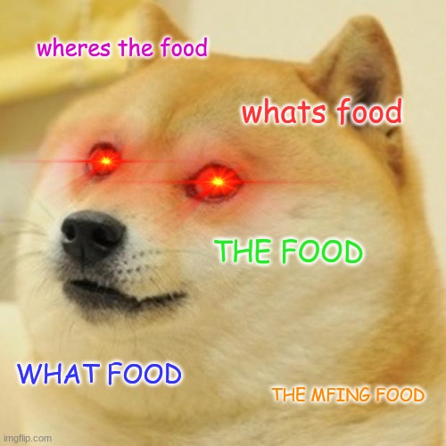 Doge |  wheres the food; whats food; THE FOOD; WHAT FOOD; THE MFING FOOD | image tagged in memes,doge | made w/ Imgflip meme maker