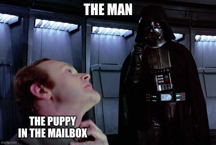 THE MAN THE PUPPY IN THE MAILBOX | image tagged in darth vader force choke | made w/ Imgflip meme maker