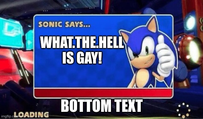 haha funny |  WHAT.THE.HELL IS GAY! BOTTOM TEXT | image tagged in sonic says,im gay | made w/ Imgflip meme maker