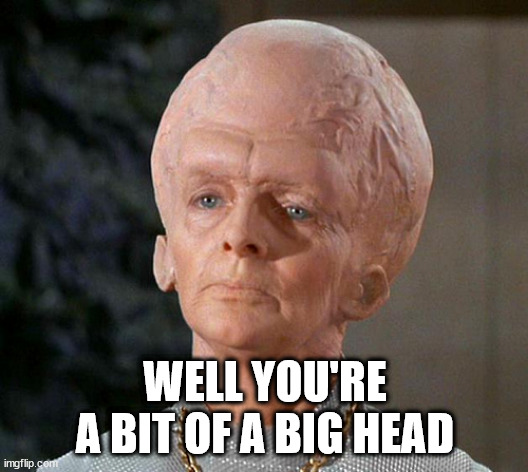 big head | WELL YOU'RE A BIT OF A BIG HEAD | image tagged in big head | made w/ Imgflip meme maker