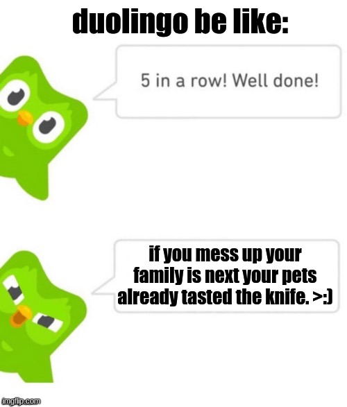 why duo? | duolingo be like:; if you mess up your family is next your pets already tasted the knife. >:) | image tagged in duo gets mad | made w/ Imgflip meme maker