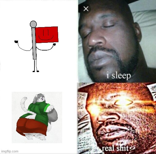 Sleeping Shaq Meme | image tagged in memes,sleeping shaq | made w/ Imgflip meme maker