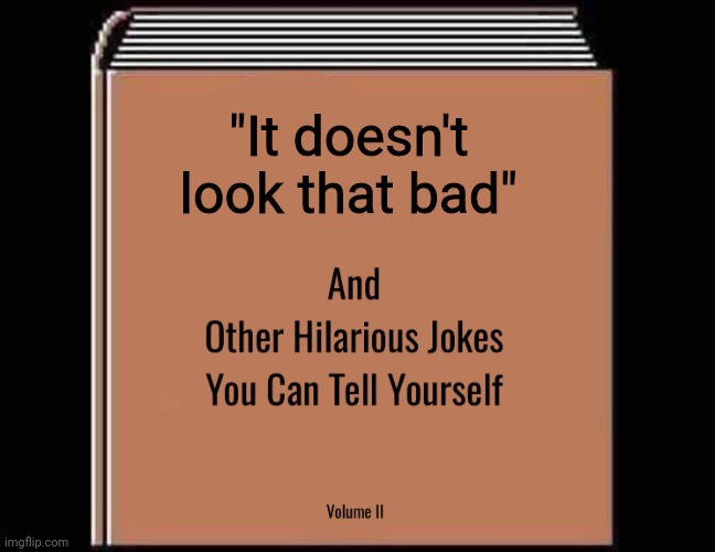 Interpret this how you want to | "It doesn't look that bad" | image tagged in and other hilarious jokes you can tell yourself hd,books | made w/ Imgflip meme maker