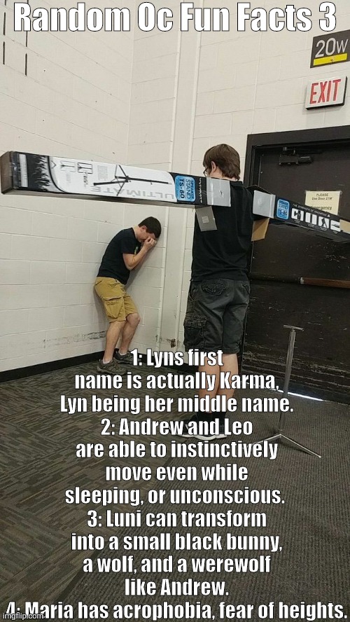 Fear | Random Oc Fun Facts 3; 1: Lyns first name is actually Karma, Lyn being her middle name.
2: Andrew and Leo are able to instinctively move even while sleeping, or unconscious. 
3: Luni can transform into a small black bunny, a wolf, and a werewolf like Andrew.
4: Maria has acrophobia, fear of heights. | image tagged in fear | made w/ Imgflip meme maker