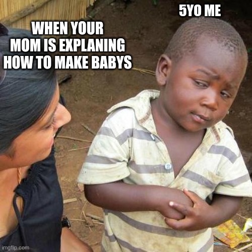 The TALK | WHEN YOUR MOM IS EXPLANING HOW TO MAKE BABYS; 5YO ME | image tagged in memes,third world skeptical kid | made w/ Imgflip meme maker