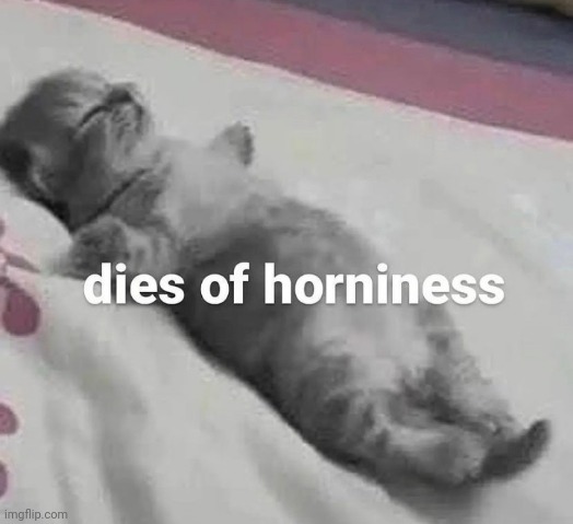 dies of horniness | image tagged in dies of horniness | made w/ Imgflip meme maker