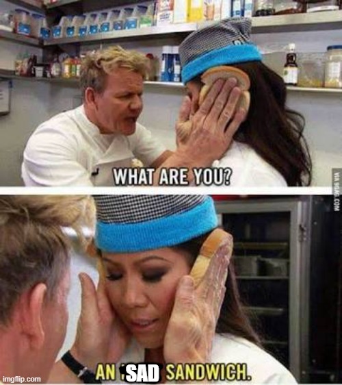 Idiot sandwich | SAD | image tagged in idiot sandwich | made w/ Imgflip meme maker