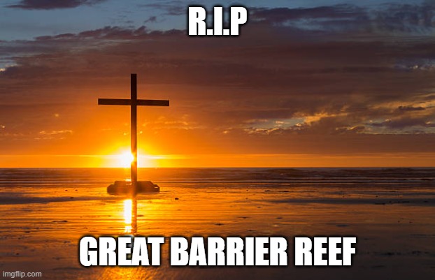 Great barrier reef | R.I.P; GREAT BARRIER REEF | image tagged in great barrier reef | made w/ Imgflip meme maker