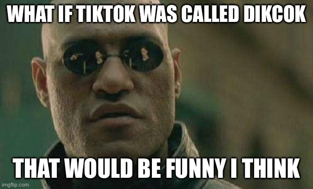 what if I told you  | WHAT IF TIKTOK WAS CALLED DIKCOK THAT WOULD BE FUNNY I THINK | image tagged in what if i told you | made w/ Imgflip meme maker