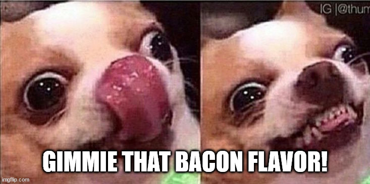 Hungry dog | GIMMIE THAT BACON FLAVOR! | image tagged in hungry dog | made w/ Imgflip meme maker