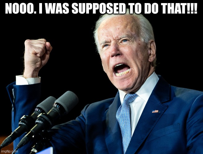 Joe Biden's fist | NOOO. I WAS SUPPOSED TO DO THAT!!! | image tagged in joe biden's fist | made w/ Imgflip meme maker