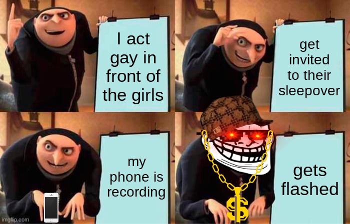 hehehaw | I act gay in front of the girls; get invited to their sleepover; my phone is recording; gets flashed | image tagged in memes,gru's plan | made w/ Imgflip meme maker