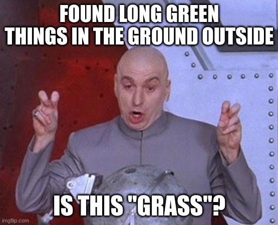 "grass" | FOUND LONG GREEN THINGS IN THE GROUND OUTSIDE; IS THIS "GRASS"? | image tagged in memes,dr evil laser | made w/ Imgflip meme maker
