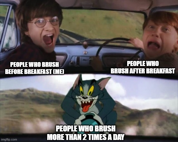 Tom chasing Harry and Ron Weasly |  PEOPLE WHO BRUSH AFTER BREAKFAST; PEOPLE WHO BRUSH BEFORE BREAKFAST (ME); PEOPLE WHO BRUSH MORE THAN 2 TIMES A DAY | image tagged in tom chasing harry and ron weasly | made w/ Imgflip meme maker