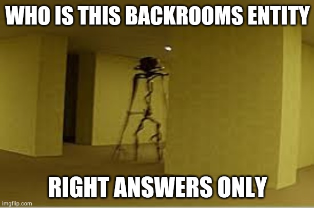 backrooms entity | WHO IS THIS BACKROOMS ENTITY; RIGHT ANSWERS ONLY | image tagged in backrooms entity | made w/ Imgflip meme maker