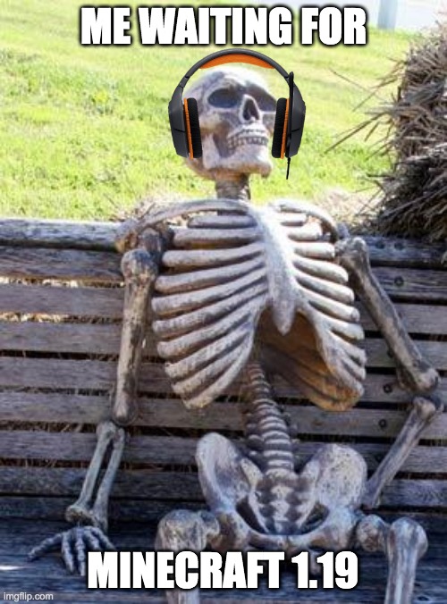The Wild Update wait | ME WAITING FOR; MINECRAFT 1.19 | image tagged in memes,waiting skeleton | made w/ Imgflip meme maker