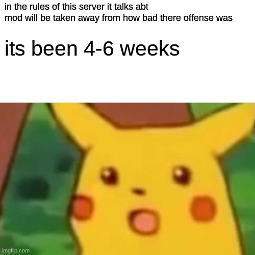 Surprised Pikachu | in the rules of this server it talks abt mod will be taken away from how bad there offense was; its been 4-6 weeks | image tagged in memes,surprised pikachu | made w/ Imgflip meme maker