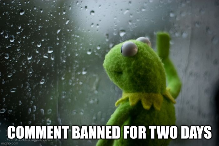 i said niglet | COMMENT BANNED FOR TWO DAYS | image tagged in kermit window | made w/ Imgflip meme maker