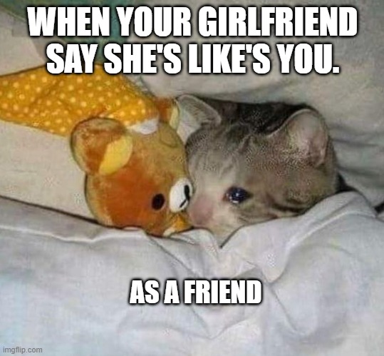 Crying cat |  WHEN YOUR GIRLFRIEND SAY SHE'S LIKE'S YOU. AS A FRIEND | image tagged in crying cat | made w/ Imgflip meme maker