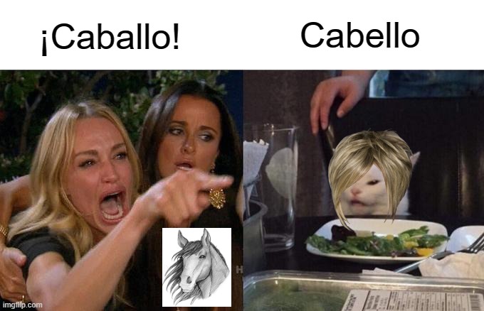 Speaking Spanish be like | ¡Caballo! Cabello | image tagged in memes,woman yelling at cat | made w/ Imgflip meme maker