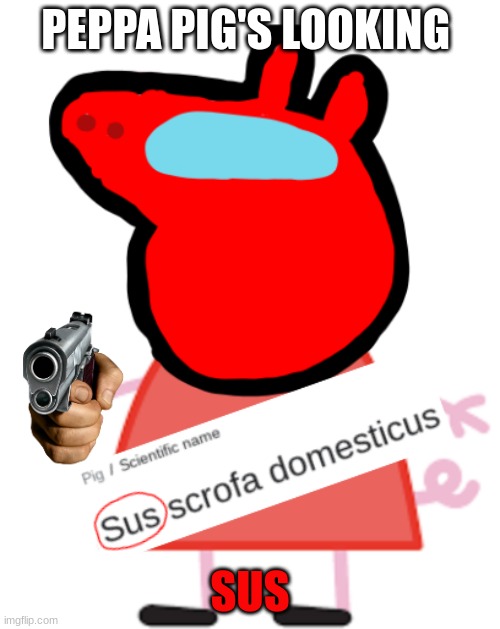 Sus | PEPPA PIG'S LOOKING; SUS | image tagged in pepper | made w/ Imgflip meme maker