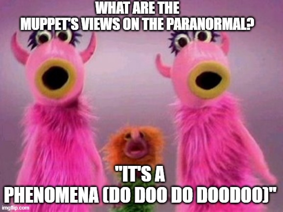 Muppets Paranormal | WHAT ARE THE MUPPET'S VIEWS ON THE PARANORMAL? "IT'S A PHENOMENA (DO DOO DO DOODOO)" | image tagged in mahna mahna | made w/ Imgflip meme maker